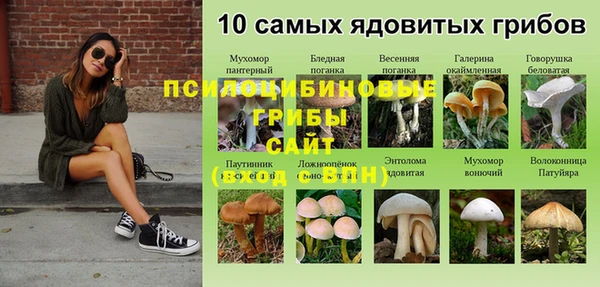 марки lsd Вяземский