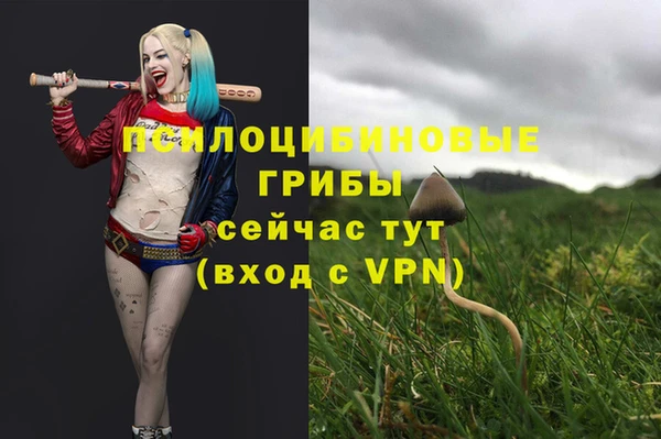 соль курить ск Вязники