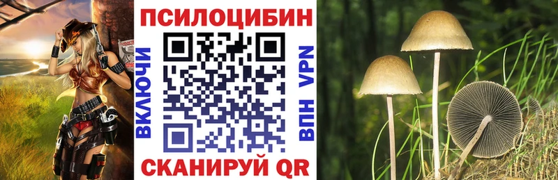где можно купить   площадка состав  Псилоцибиновые грибы Cubensis  Старый Оскол 
